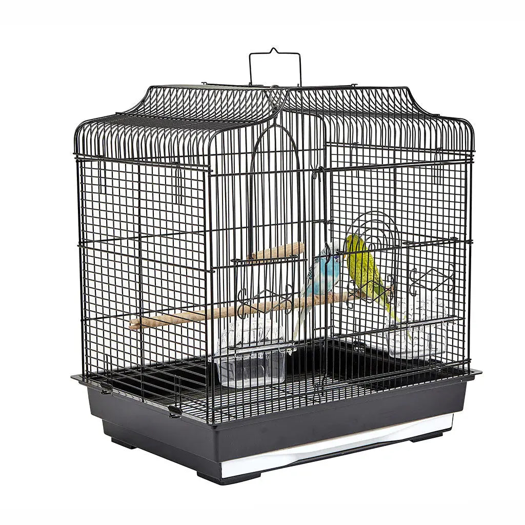 Liberta Siam Medium Bird Cage Sky Pets
