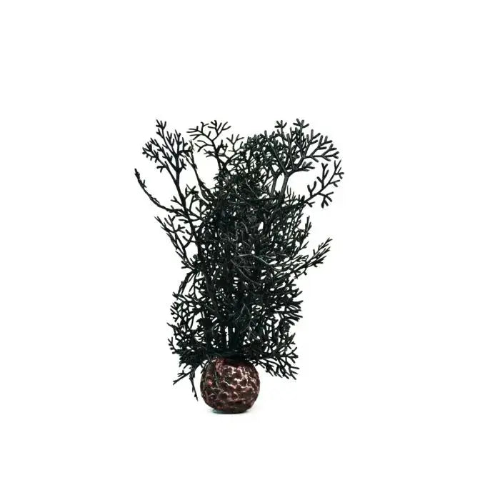 biOrb Black Sea Fan Aquarium Decoration Small Biorb