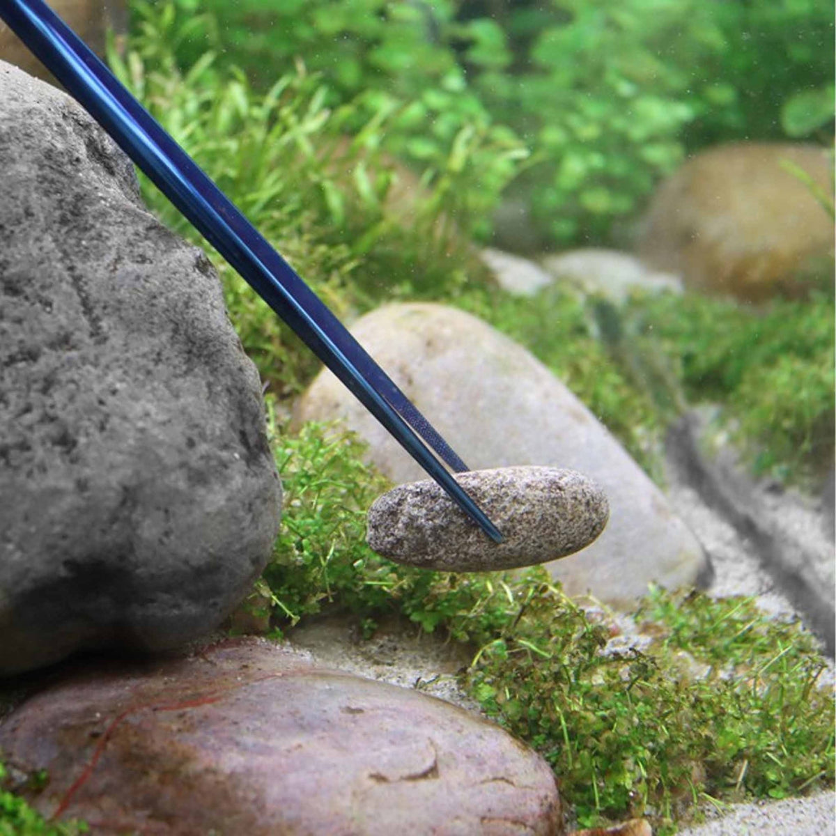 NT Labs ProCare Tweezers 25cm J & K Aquatics Ltd