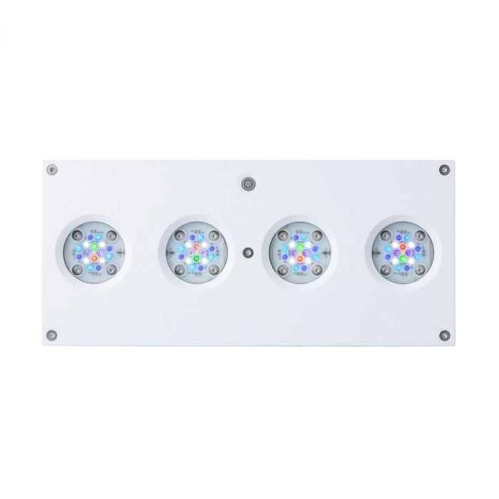 AI Hydra 64 HD LED Light White