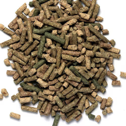 Arcadia Earth Pro Turtle Gold 300g Arcadia/Monkfield Nutrition