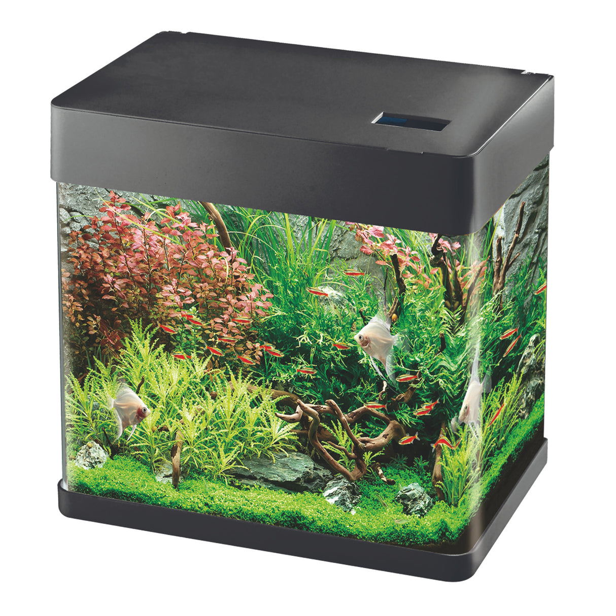 Betta Choice Lifespace View 30L Aquarium - Black
