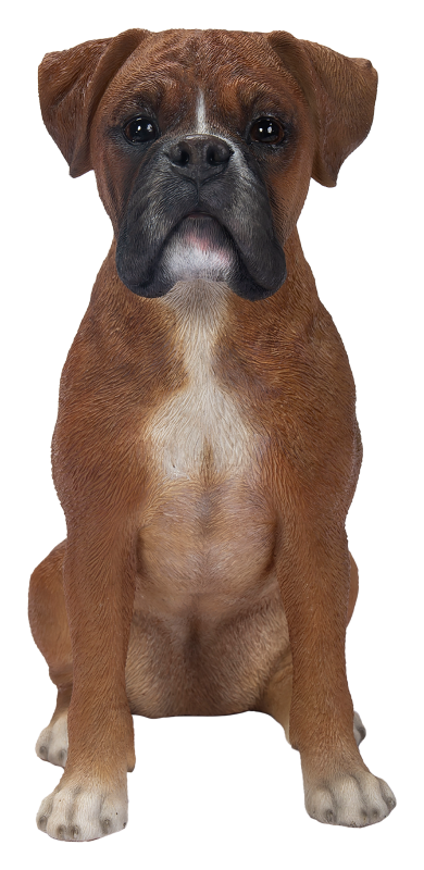 Vivid Arts Boxer Dog Ornament – Real Life Resin Garden Statue Indoor & Outdoor Vivid Arts