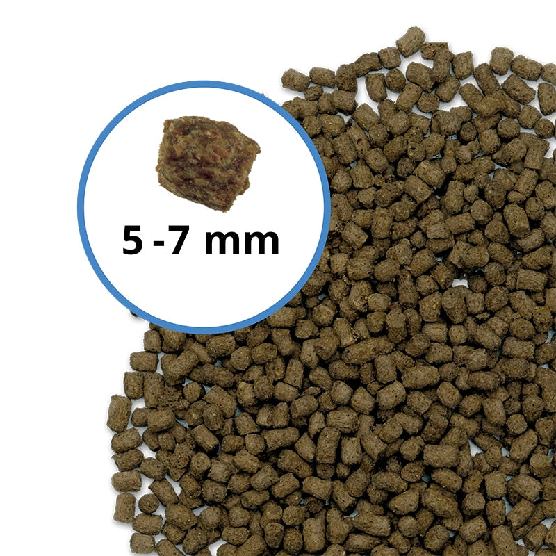 Fluval Bug Bites Goldfish Granules 100g (5-7mm)