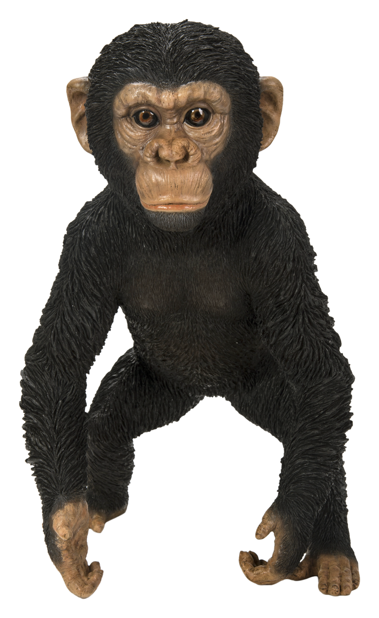 Baby Chimpanzee Standing Real Life Resin Ornament by Vivid Arts