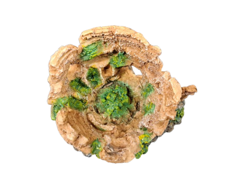 Colosseum Aquarium Ornament