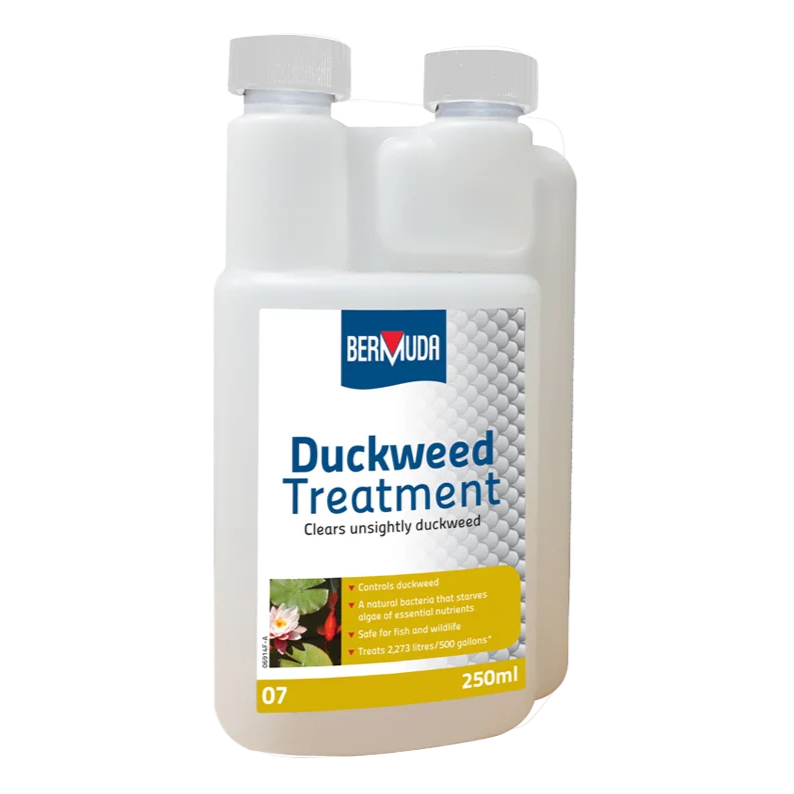 Bermuda Duckweed 250ML
