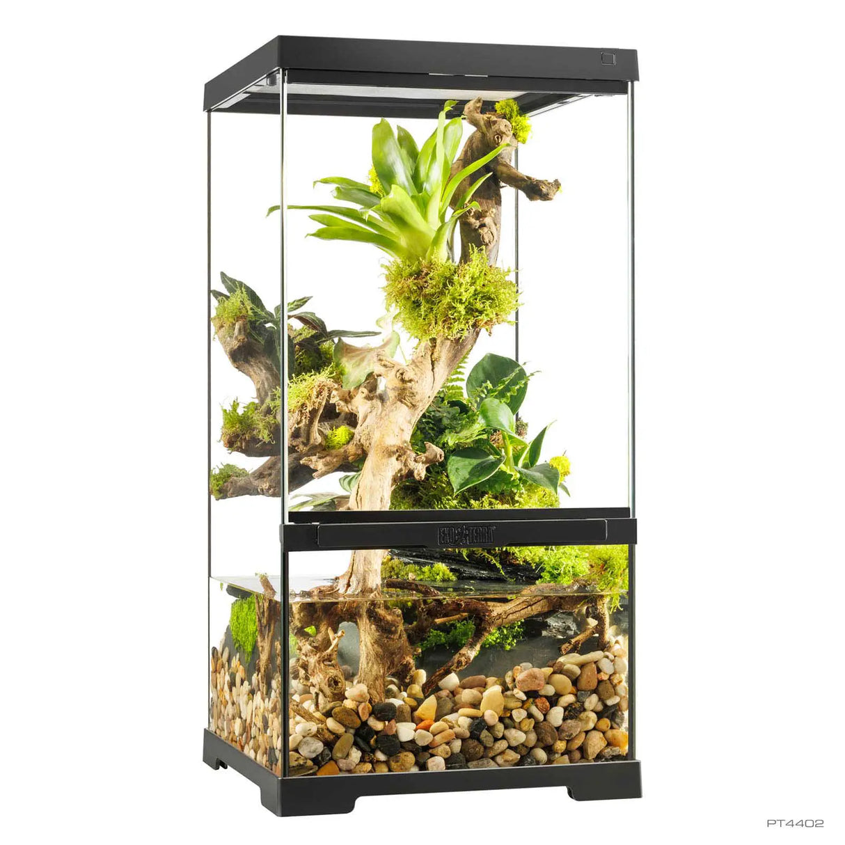 Exo Terra Pro Paludarium X-Small X-Tall 30 x 30 x 60cm