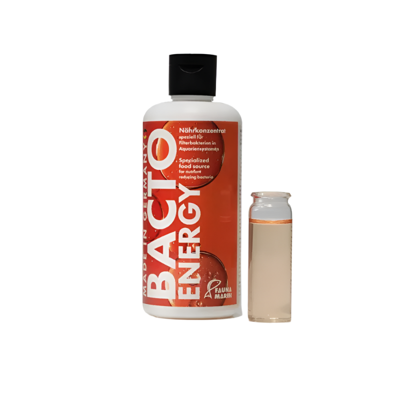 Fauna Marin Bacto Energy 100ml