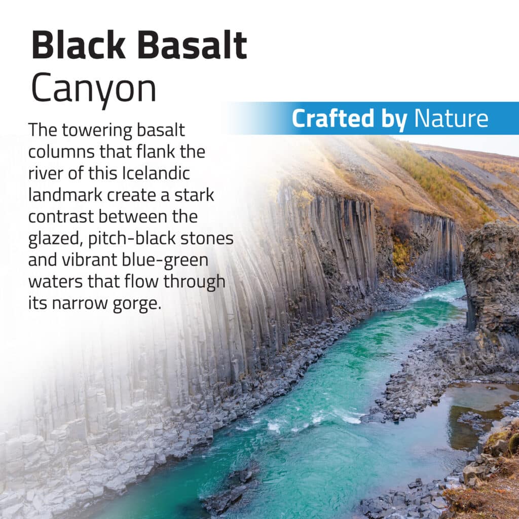 Fluval Black Aquascaper Mega Kit