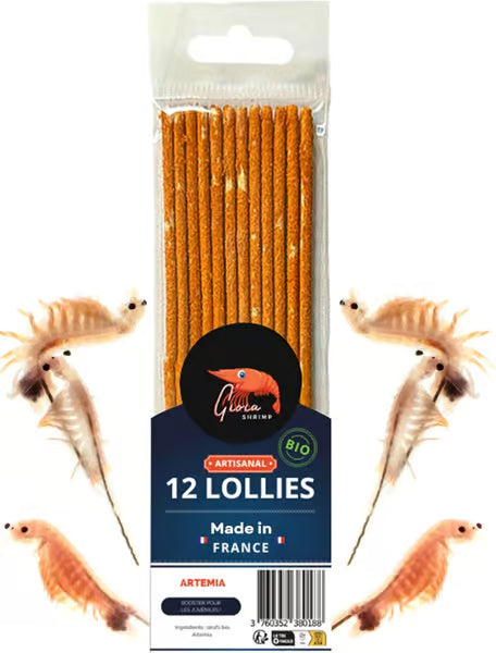 Gioia Shrimp Lollies 100% Artemia - 12 Lollies
