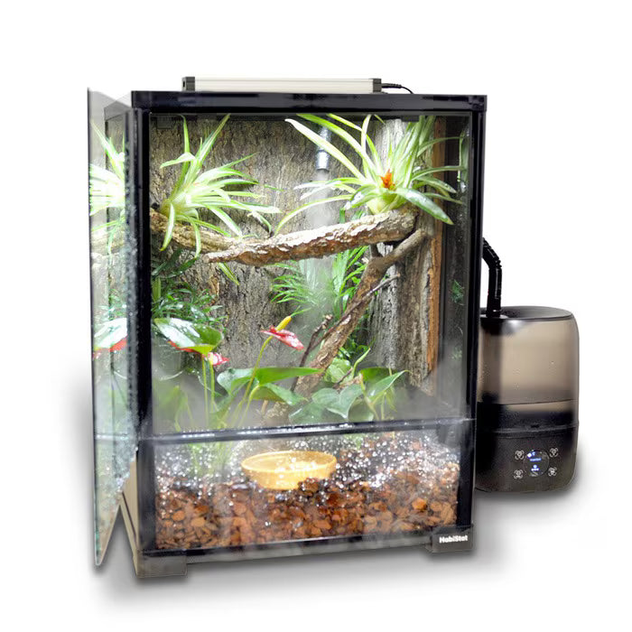 HabiStat Mini Glass Terrarium 20 x 20 x 30cm