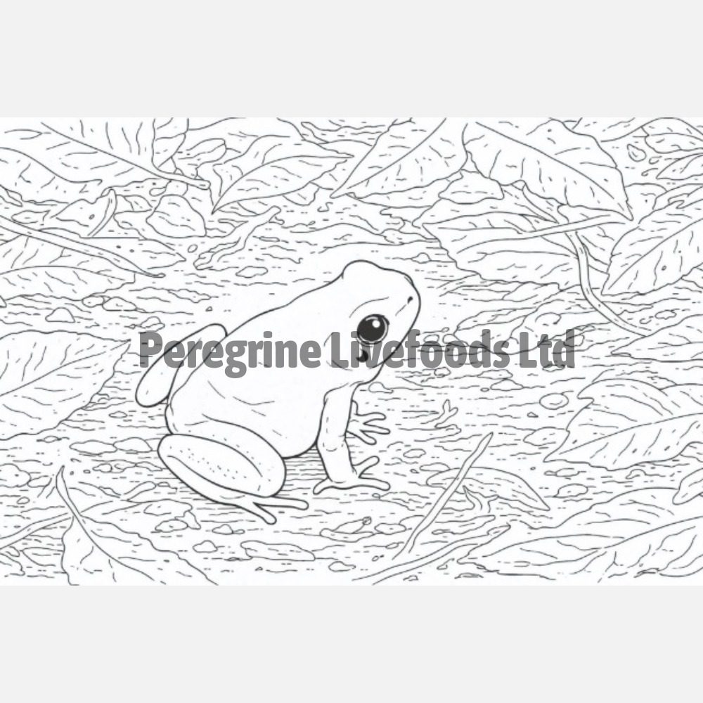 Exotics Keeper The Colouring Book of Amphibians Peregrine Livefoods Ltd