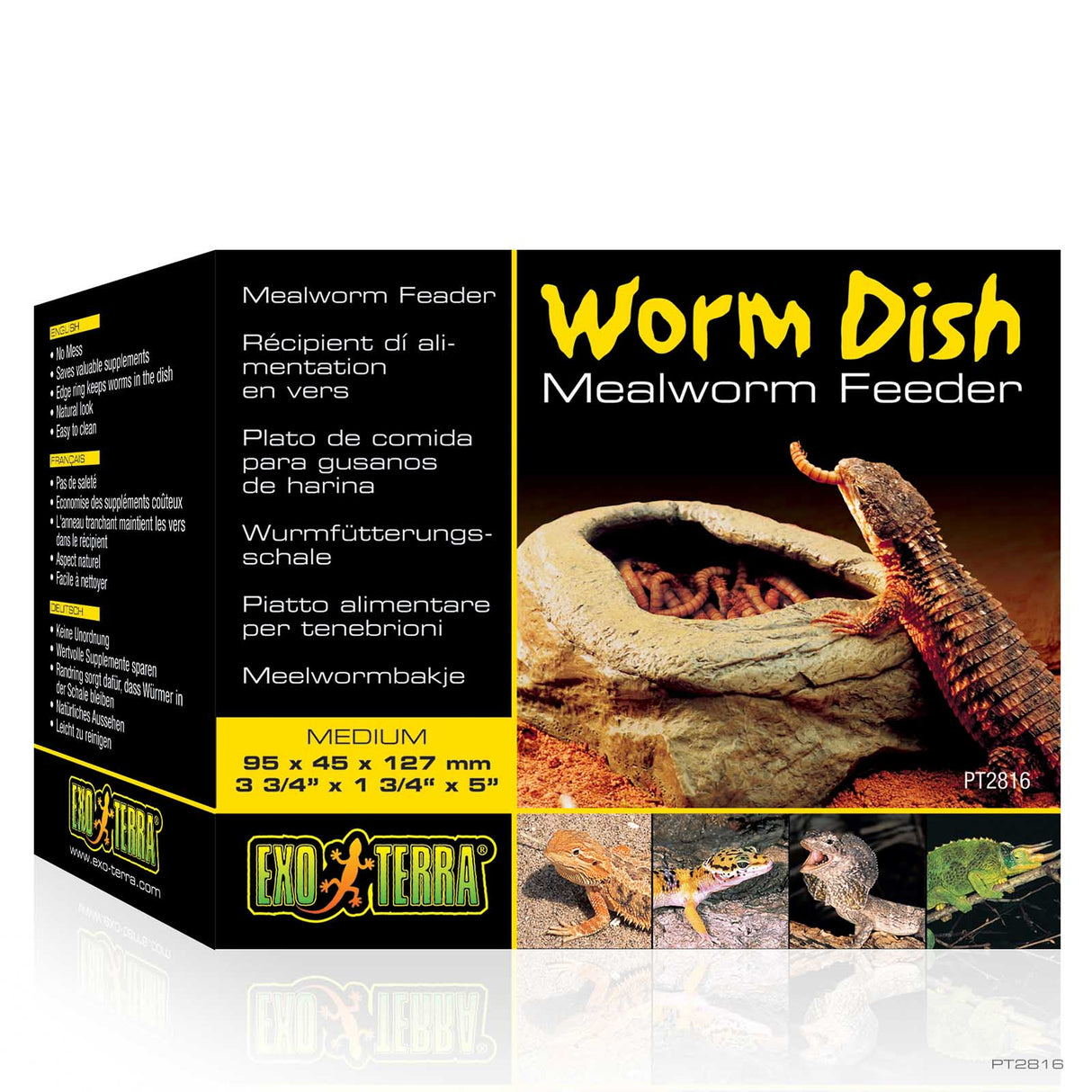 Exo Terra Mealworm Feeder Dish – Escape-Proof Feeding Bowl for Reptiles Exo Terra