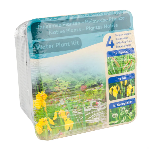 Purifying Water Plant Kit