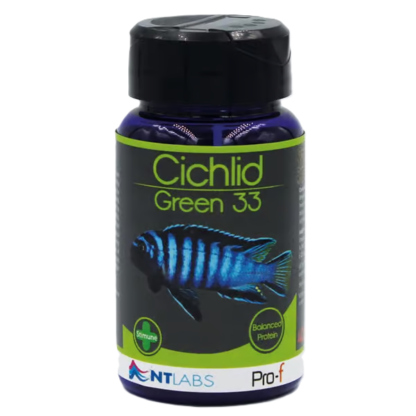 NT Pro-f Cichlid Green 33 Sinking Granule 40g