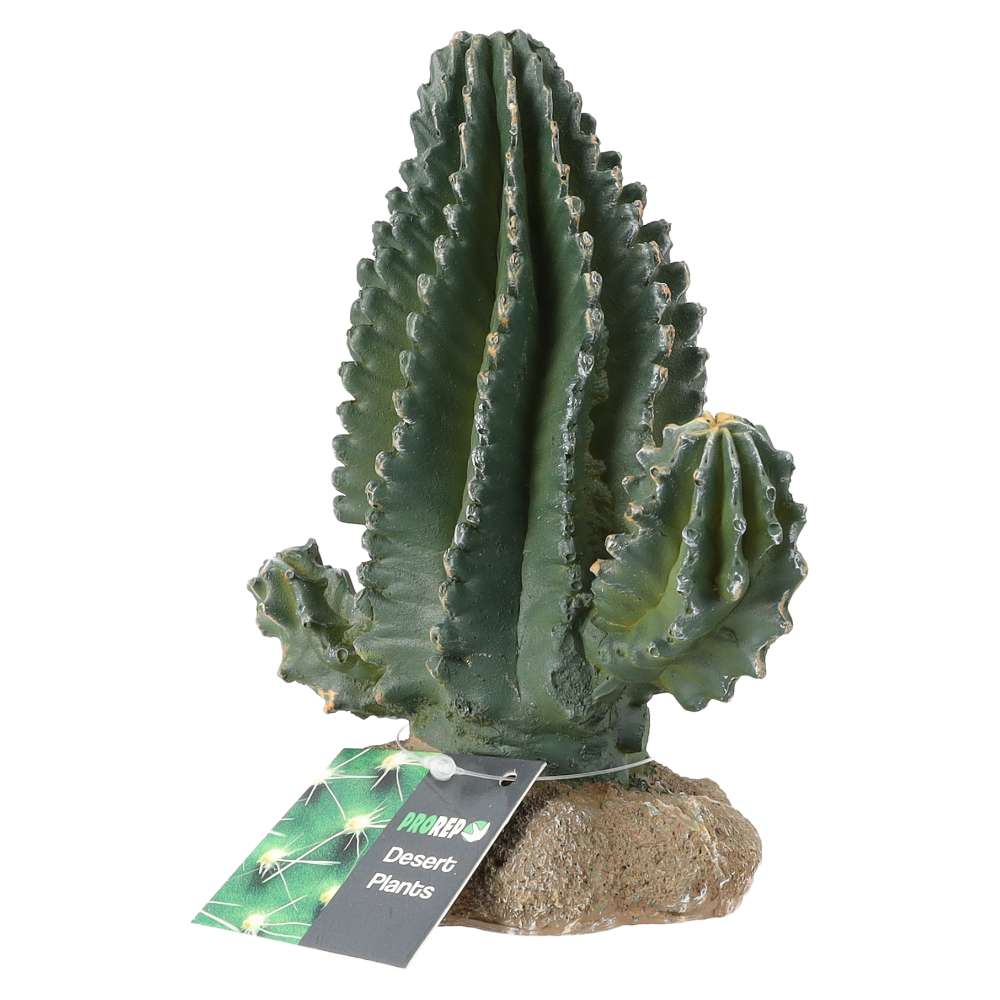 ProRep Cactus for Reptiles 13x7.5x15cm