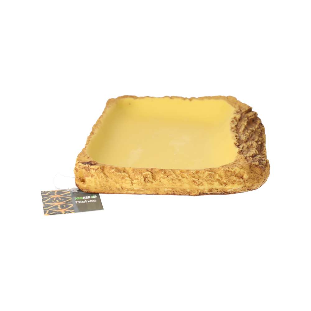 ProRep Tortoise Feed Dish Large Peregrine Livefoods Ltd