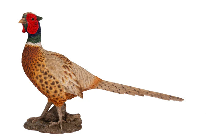Pheasant Real Life Resin Ornament By Vivid Arts