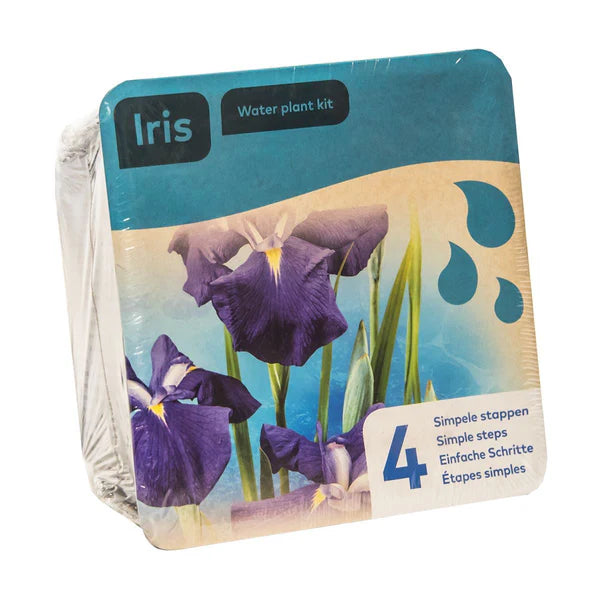 Purple Iris Water Plant Kit