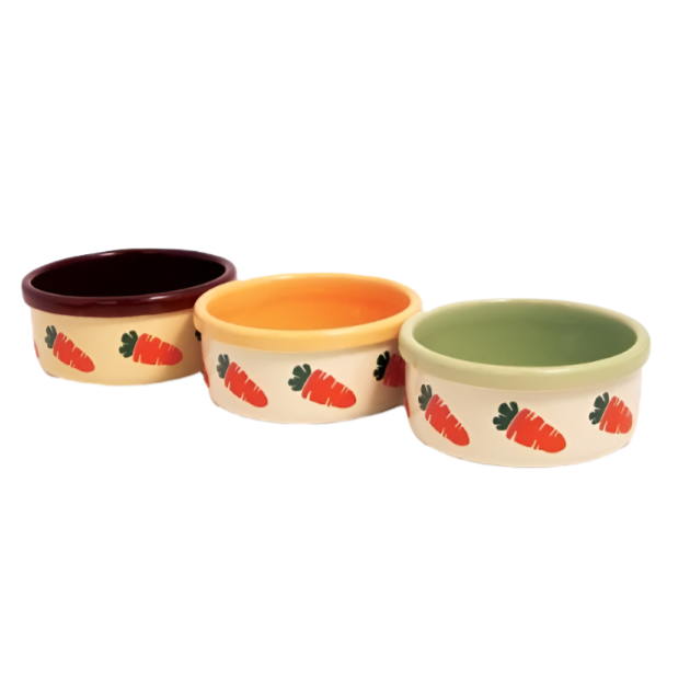 Rosewood Ceramic Rabbit Carrot Bowls Assorted Colours