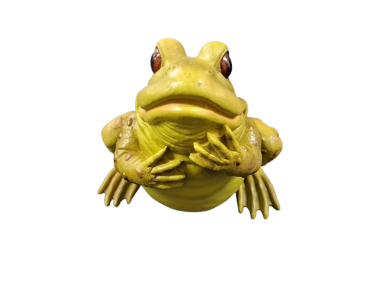Reptile Décor Frog