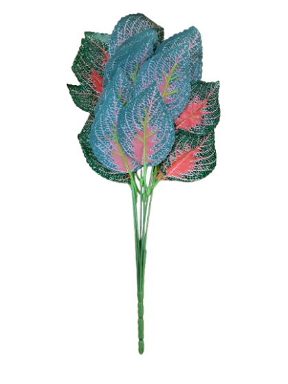 Reptile Decor Plant Coleonyx Variegated