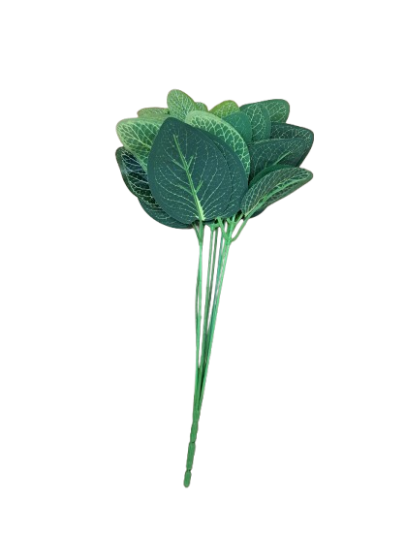 Reptile  Décor Plant Fittonia White