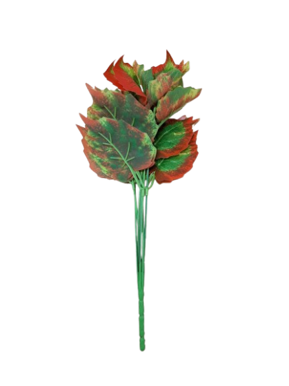 Reptile Decor Plant Red Beech
