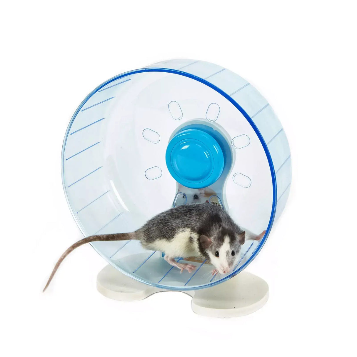 Rodent Wheel Large by Sky Pets Sky Pets