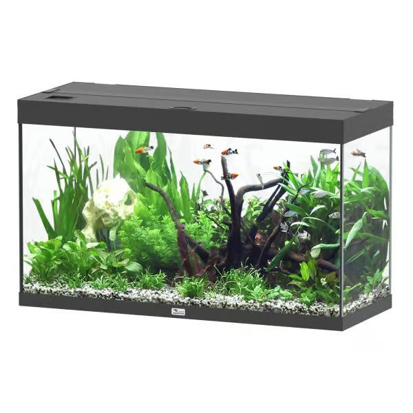 Splendid 100 Aquarium Black + External Filter