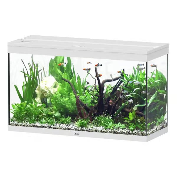 Splendid 100 Aquarium White + External Filter
