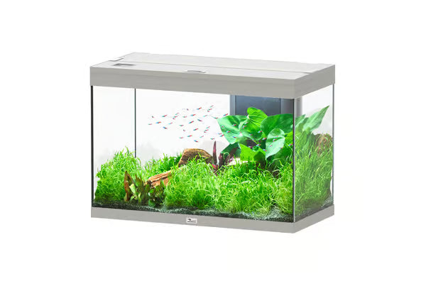 Splendid 80 Stainless Steel Aquarium 146L with RGBW LED & Smart Controller