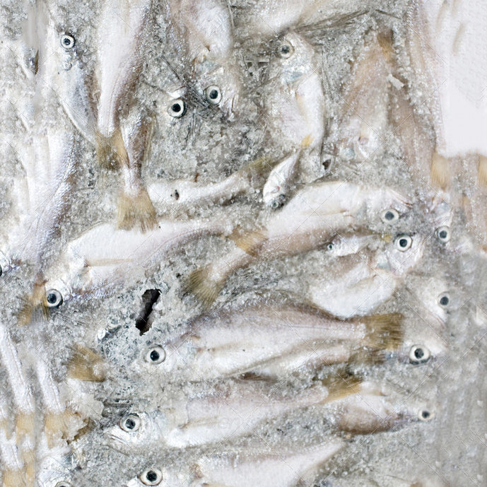 BCUK Whole Small Fish 100g Frozen Fish Food Bcuk Aquatics Ltd