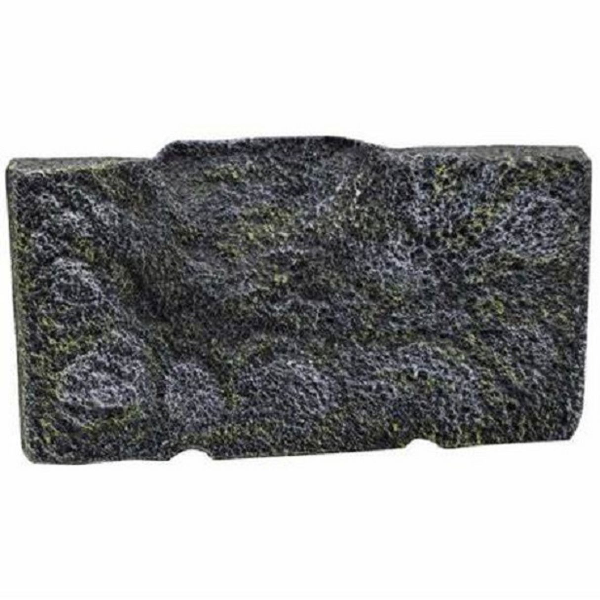 RepStyle Turtle Bank Ledge - Medium