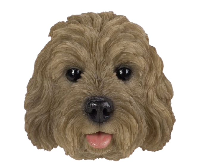 WF Brown Cockapoo Magnet by Vivid Arts