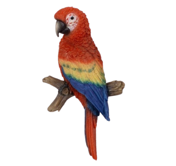 WF Red Macaw on Branch Magnet by Vivid Arts