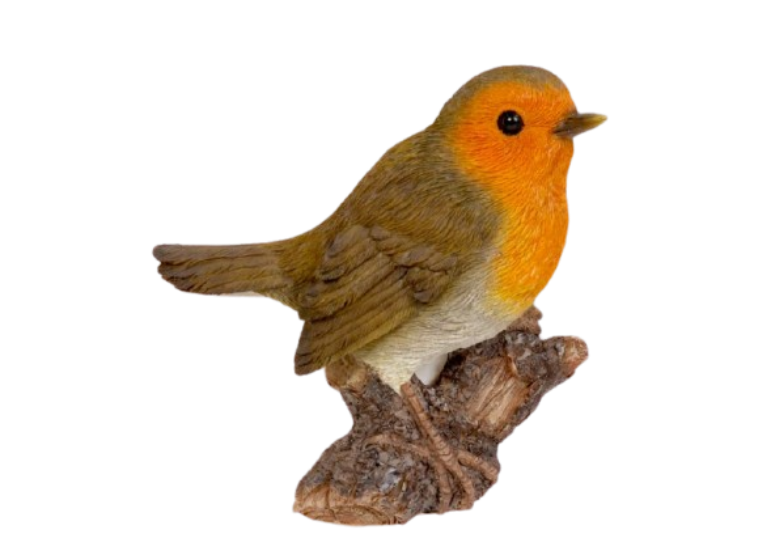 WF Robin on Branch Magnet by Vivid Arts
