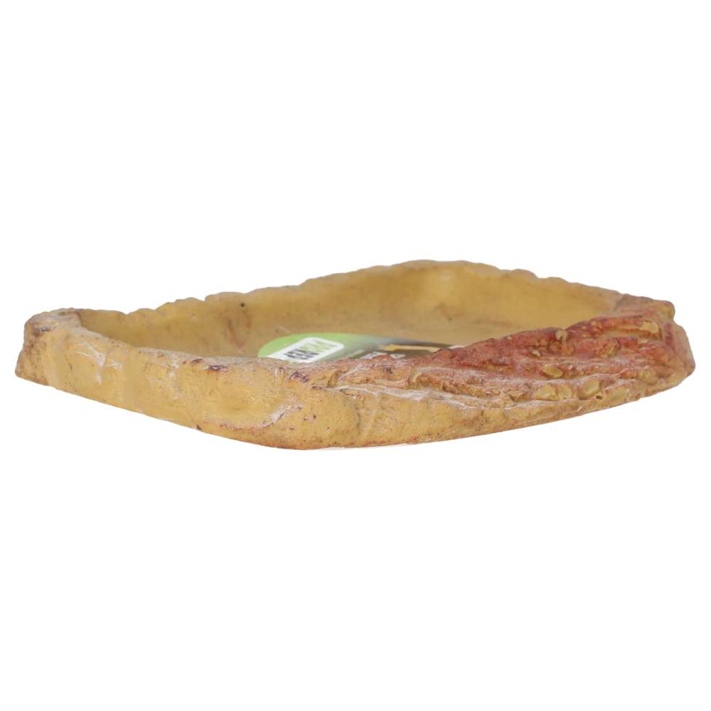 ProRep Tortoise Feed Dish Small Peregrine Livefoods Ltd