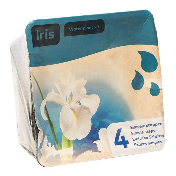 White Iris Water Plant Kit