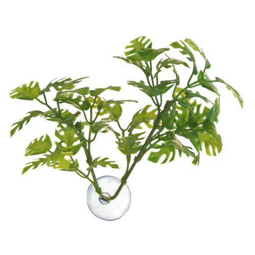 Zoo Med Betta Plant, Window Leaf