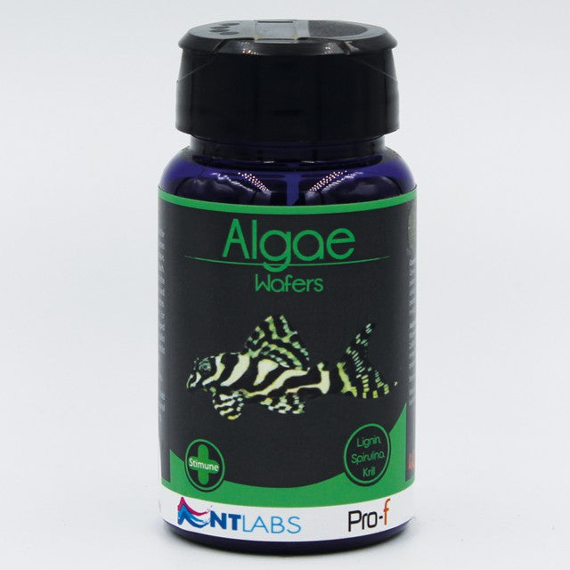 NT Labs Pro-f Algae Wafers 110g