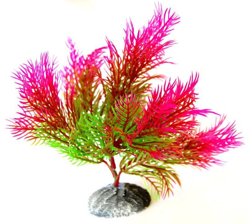 Aquarium Decoration Plastic Fern Pink/Green 15cm