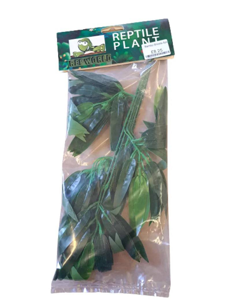 Bamboo Shoots 6pcs Anhui Hefei Hongjia Co Ltd