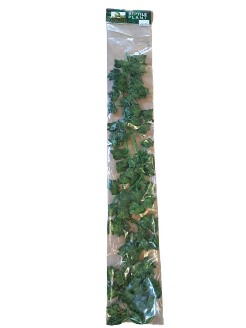 Boston Ivy 4pcs Anhui Hefei Hongjia Co Ltd