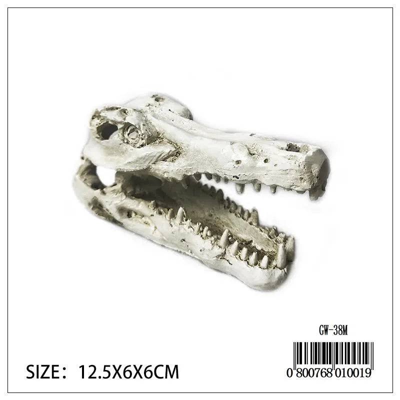 Croc Skull Medium
