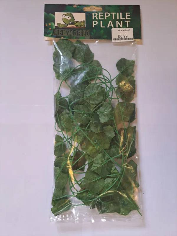 Grape Leaf Anhui Hefei Hongjia Co Ltd