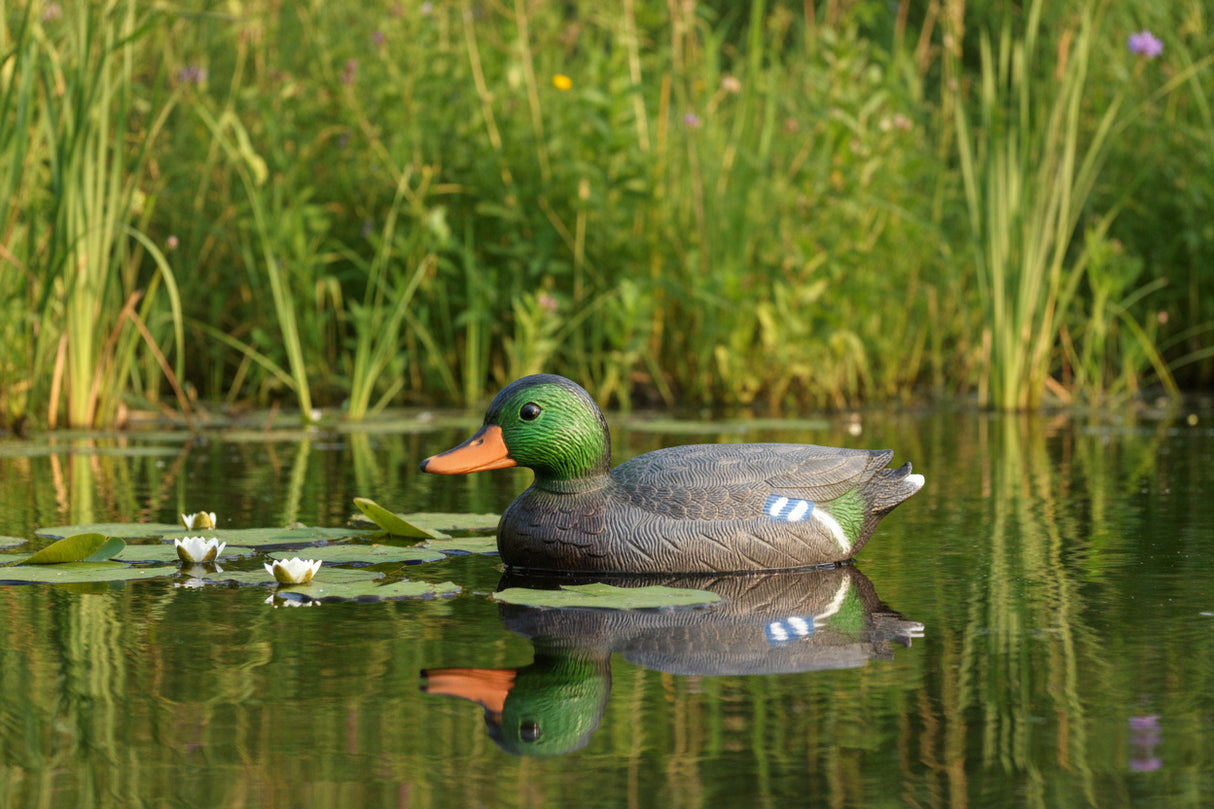 Plastic Duck Anhui Hefei Hongjia Co Ltd