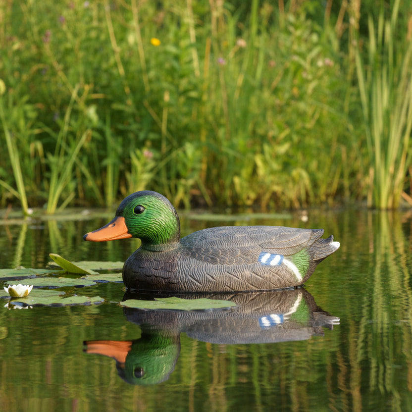 Plastic Duck Anhui Hefei Hongjia Co Ltd