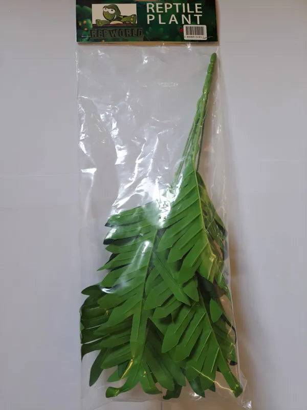 Reptile Plant Philipendra